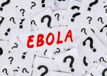 Vaccin Ebola ở khỉ và hy vọng mới với bệnh nhân Ebola