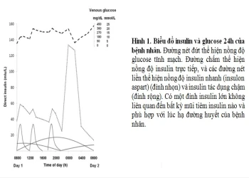Case hạ glucose máu về đêm tái phát ở một bệnh nhân đái tháo đường type 1