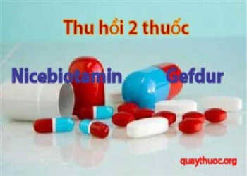 Sở y tế Hà nội thu hồi 2 thuốc nhập khẩu Nicebiotamin và Gefdur