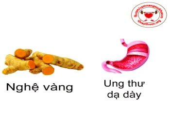 Các loại thực phẩm có thể đẩy lùi được căn bệnh ung thư (P1)