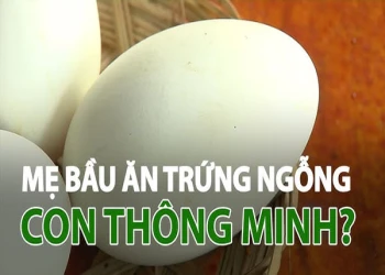 Câu chuyện mẹ bầu ăn trứng ngỗng con thông minh, thực hư ra sao?