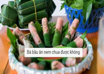 Giải đáp: Bà bầu ăn nem chua được không? Và những lưu ý cần biết