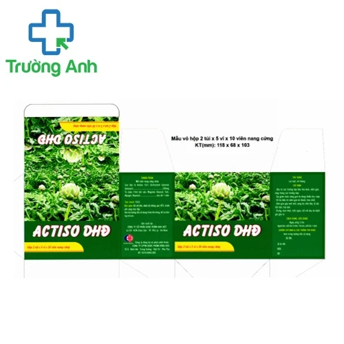 Actiso DHĐ - Giúp bảo vệ gan, giải độc gan hiệu quả của Hoa Việt