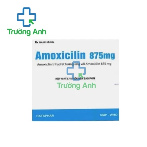 Amoxicilin 875mg Hataphar - Thuốc điều trị nhiễm khuẩn hiệu quả