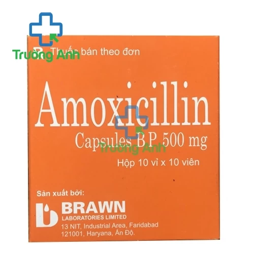 Amoxicillin 500mg Brawn - Thuốc điều trị nhiễm trùng, nhiễm khuẩn của Ấn Độ