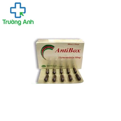 Atibox (Thymomodulin 80mg) tăng cường miễn dịch hiệu quả