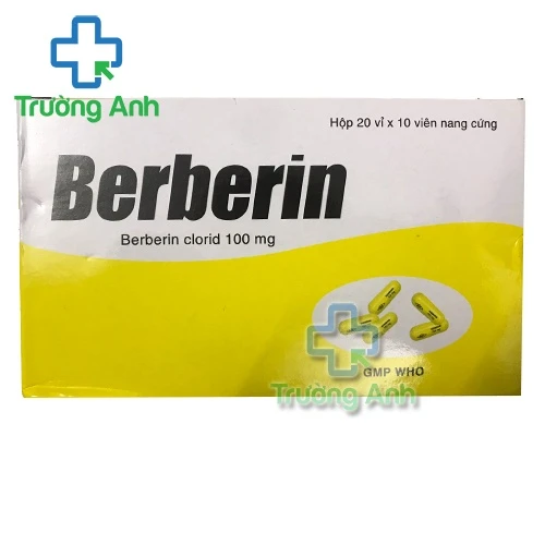 Berberin 100mg Bidiphar - Thuốc điều trị tiêu chảy hiệu quả