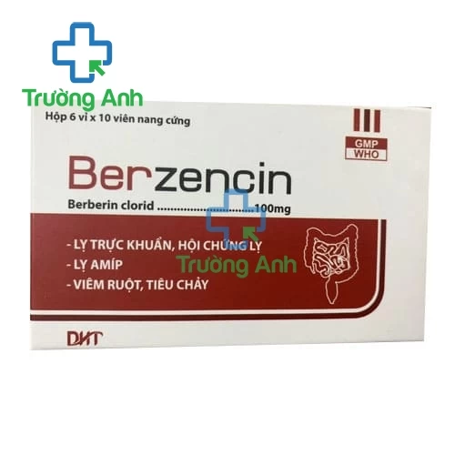 Berzencin 100mg Hataphar - Thuốc điều trị lỵ trực khuẩn