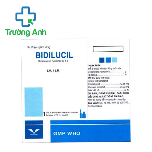 Bidilucil 1g Bidiphar - Thuốc điều trị tổn thương não hiệu quả