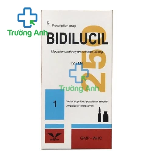 Bidilucil 250mg tiêm của Bidiphar