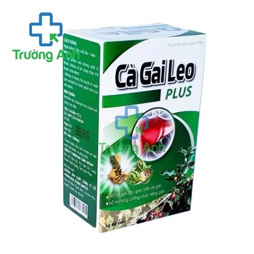 Cà Gai Leo Plus Santex - Hỗ trợ tăng cường chức năng gan