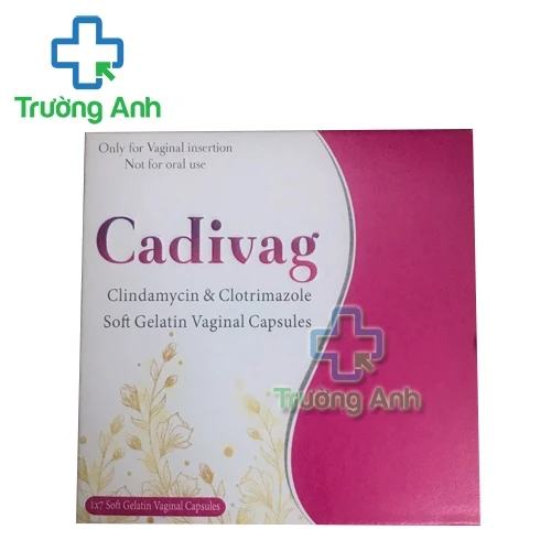 Cadivag Renowed - Viên đặt âm đạo điều trị nhiễm trùng hiệu quả