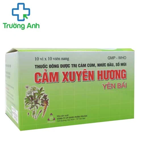 Cảm xuyên hương Yên Bái (viên) - Giúp điều trị cảm cúm hiệu quả