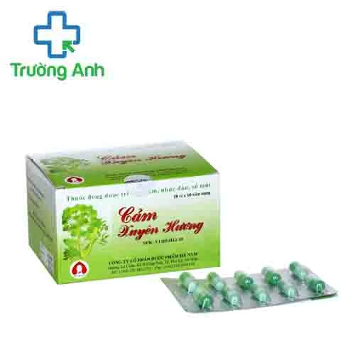 Cảm xuyên hương Hanapharm - Giúp điều trị cảm cúm hiệu quả