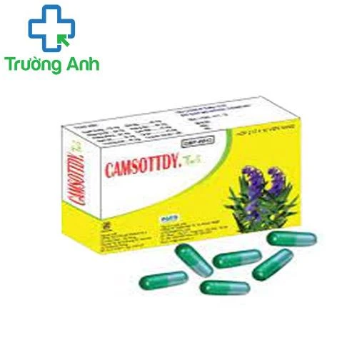 Camsottdy.TW3 - Hỗ trợ điều trị cảm hàn, các chứng phong thấp hàn hiệu quả