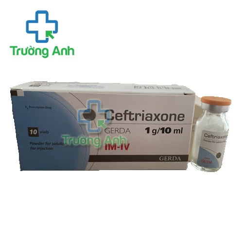 Ceftriaxone 1g/10ml Gerda - Thuốc điều trị nhiễm khuẩn hiệu quả