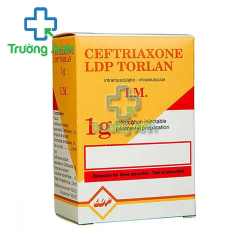 Ceftriaxone LDP Torlan 1g - Thuốc điều trị nhiễm khuẩn hiệu quả