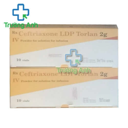 Ceftriaxone LDP Torlan 2g - Thuốc điều trị nhiễm khuẩn hiệu quả