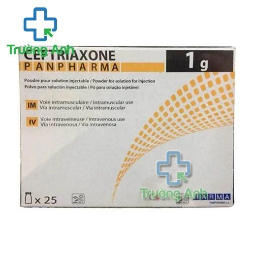 Ceftriaxone Panpharma 1g - Thuốc điều trị nhiễm khuẩn hiệu quả