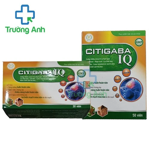 Citigaba IQ (vỉ) - Giúp hỗ trợ tăng cường tuần hoàn não hiệu quả