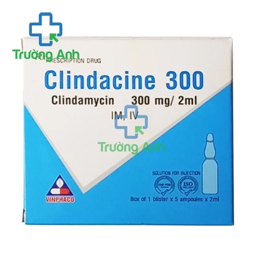 Clindacine 300 Vinphaco - Thuốc điều trị nhiễm khuẩn hiệu quả