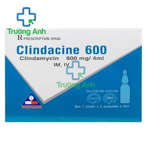 Clindacine 600 - Thuốc điều trị nhiễm khuẩn hiệu quả của Vinphaco