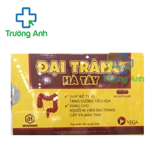 Đại Tràng Hà Tây (50 viên) - Hỗ trợ điều trị viêm đại tràng hiệu quả