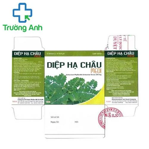 Diệp hạ châu Medi - Hỗ trợ tăng cường chức năng gan hiệu quả