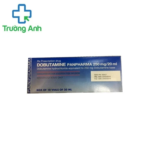 Dobutamin 250mg/20ml Panpharma - Thuốc trợ giúp suy tim hiệu quả