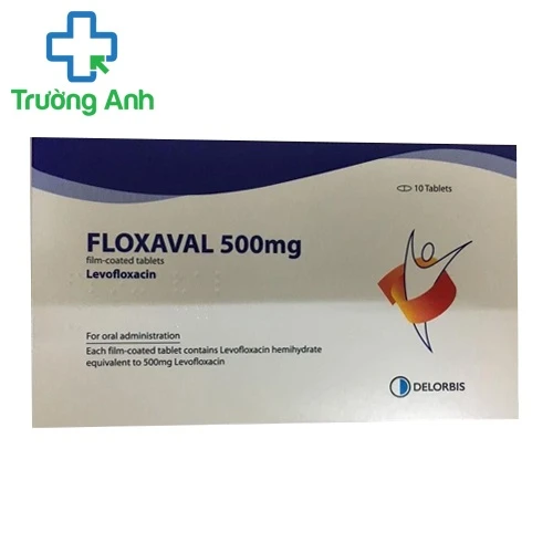 Floxaval 500mg - Thuốc điều trị nhiễm khuẩn hiệu quả