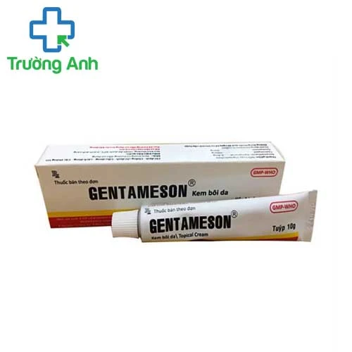 Gentameson 10g - Thuốc điều trị viêm da hiệu quả (10 hộp)