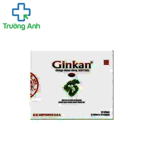 Ginkan - Thuốc điều trị tai biến mạch máu não hiệu quả