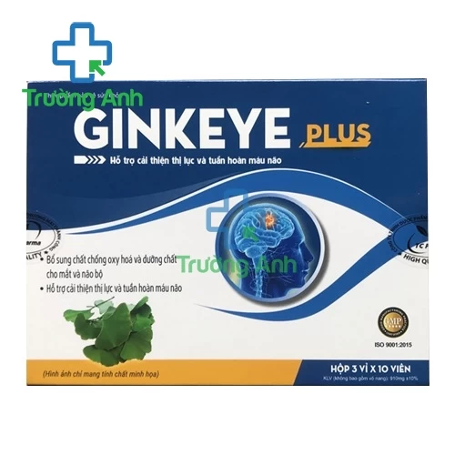 Ginkeye Plus - Hỗ trợ cải thiện thị lực và tuần hoàn máu não hiệu quả  