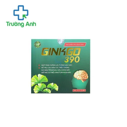 Ginkgo 390 Smard - Giúp tăng cường lưu thông máu não