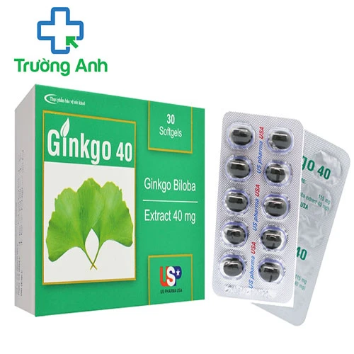 GINKGO 40 USP - Giúp tăng cường tuần hoàn não hiệu quả