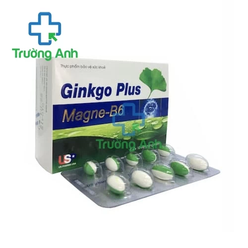 GINKGO PLUS MAGNE -B6 USP - Hỗ trợ tăng cường tuần hoàn máu não