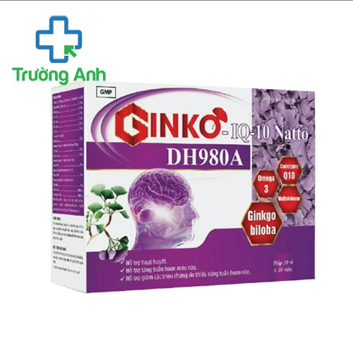 Ginko IQ-10 Natto DH980A Vinaphar - Hỗ trợ tăng cường tuần hoàn não