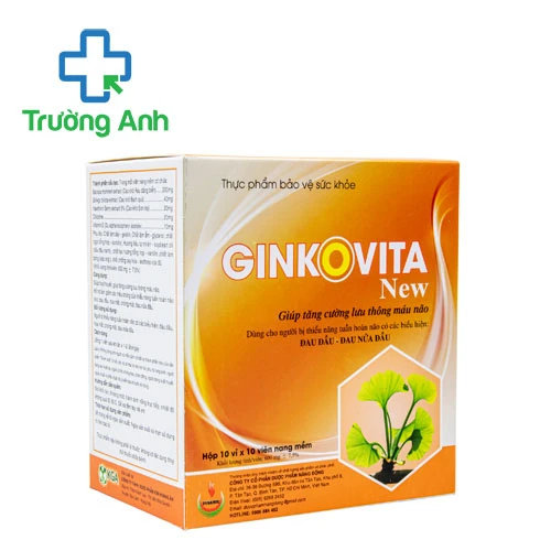 Ginkovita New - Hỗ trợ tăng cường lưu thông máu não hiệu quả