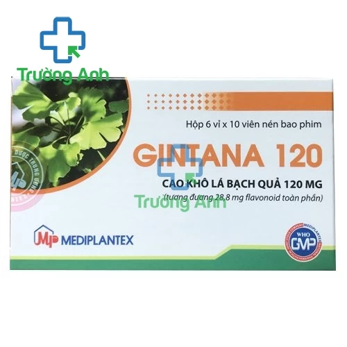 Gintana 120mg - Giúp dự phòng và điều trị tai biến mạch máu não hiệu quả