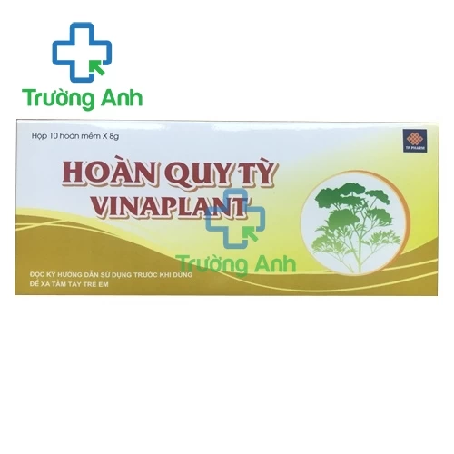 Hoàn quy tỳ Vinaplant - Viên uống ích khí, bổ huyết hiệu quả