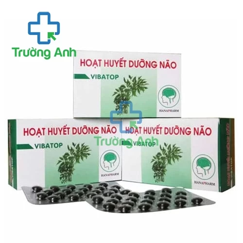 Hoạt Huyết Dưỡng Não Vibatop - Giúp tăng cường tuần hoàn máu não hiệu quả