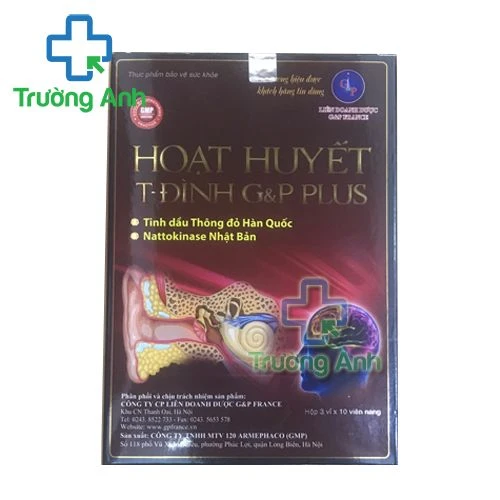 Hoạt huyết T-Đình G&P - Hỗ trợ tăng cường tuần hoàn máu não