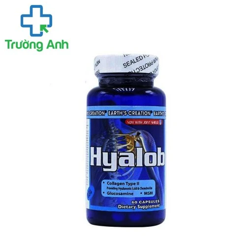 Hyalob -TPCN hỗ trợ điều trị đau nhức xương khớp hiệu quả