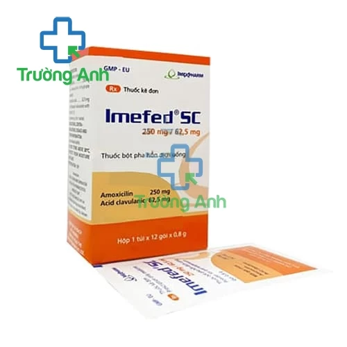 Imefed SC 250mg/62,5mg - Thuốc điều trị nhiễm trùng đường hô hấp của Imexpharm