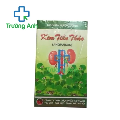 Kim tiền thảo Bài Thạch Hà Thành - Hỗ trợ điều sỏi đường tiết niệu hiệu quả