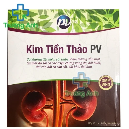 Kim tiền thảo PV (viên nang) - Giúp điều trị sỏi đường tiết niệu hiệu quả