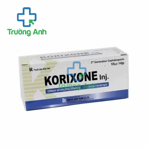 Korixone Inj 1g Hankook