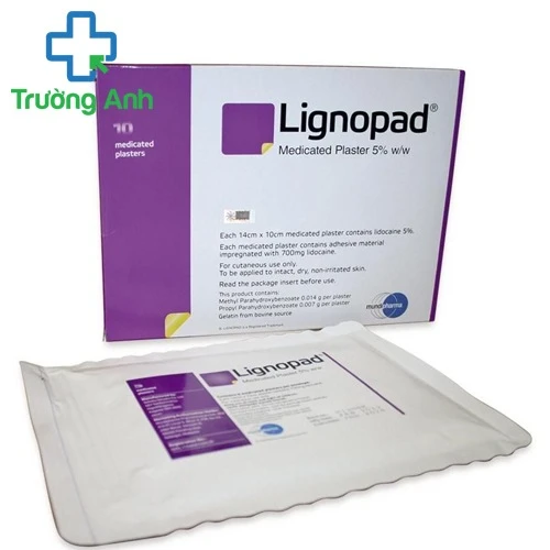 Lignopad Medicated Plaster 5% - Thuốc trị đau dây thần kinh của Ấn Độ hiệu quả