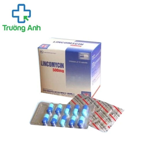 Lincomycin 500mg DOPHARMA - Thuốc điều trị nhiễm khuẩn hiệu quả