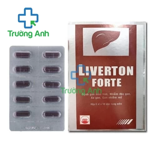 LIVERTON forte - Thuốc hỗ trợ điều trị viêm gan của Pymepharco